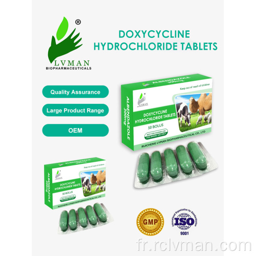 Comprimés de chlorhydrate de doxycycline pour une utilisation animale uniquement